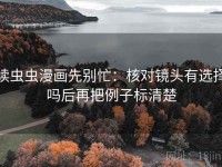 读虫虫漫画先别忙：核对镜头有选择吗后再把例子标清楚