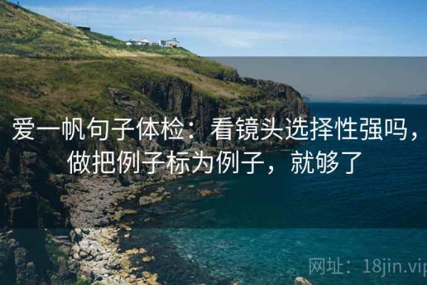 爱一帆句子体检：看镜头选择性强吗，做把例子标为例子，就够了